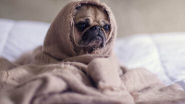 Why Bother With Self-Care? 