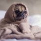 Why Bother With Self-Care? 