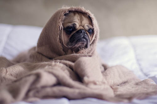 Why Bother With Self-Care? 